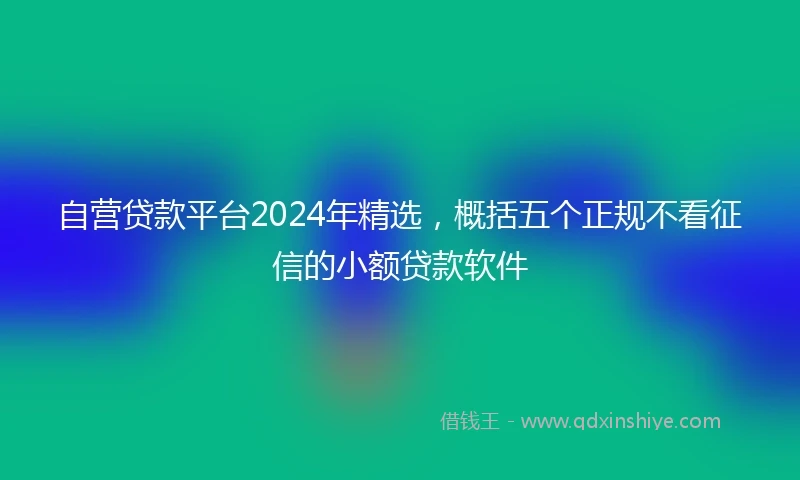 自营贷款平台2024年精选，概括五个正规不看征信的小额贷款软件