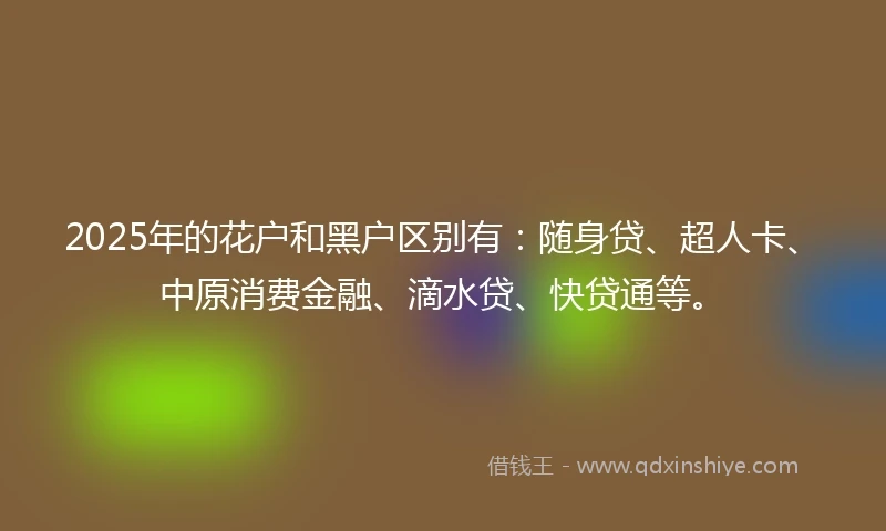 2025年的花户和黑户区别有：随身贷、超人卡、中原消费金融、滴水贷、快贷通等。
