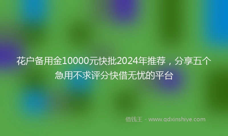 花户备用金10000元快批2024年推荐，分享五个急用不求评分快借无忧的平台
