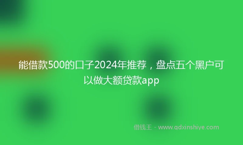 能借款500的口子2024年推荐，盘点五个黑户可以做大额贷款app