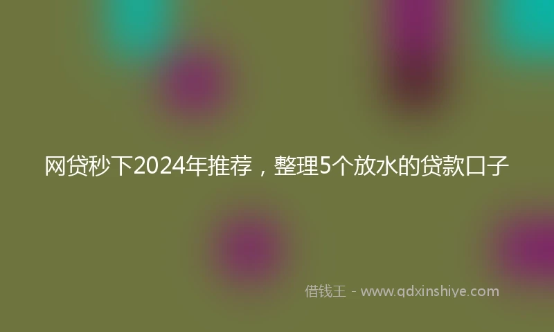 网贷秒下2024年推荐，整理5个放水的贷款口子