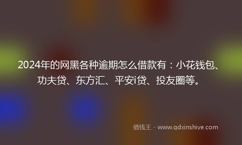 2024年的网黑各种逾期怎么借款有：小花钱包、功夫贷、东方汇、平安i贷、投友圈等。