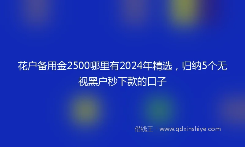 花户备用金2500哪里有2024年精选，归纳5个无视黑户秒下款的口子