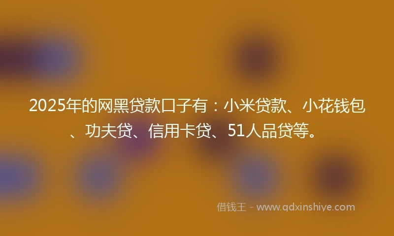 2025年的网黑贷款口子有：小米贷款、小花钱包、功夫贷、信用卡贷、51人品贷等。
