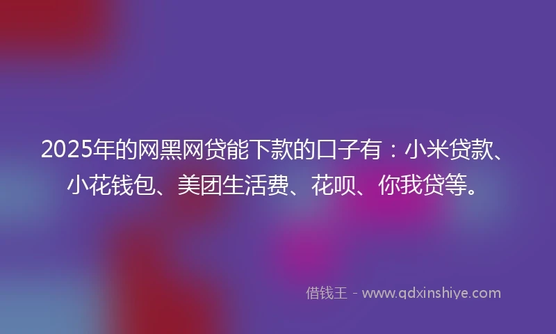2025年的网黑网贷能下款的口子有：小米贷款、小花钱包、美团生活费、花呗、你我贷等。