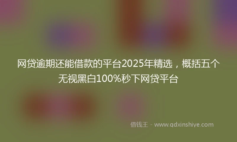 网贷逾期还能借款的平台2025年精选，概括五个无视黑白100%秒下网贷平台