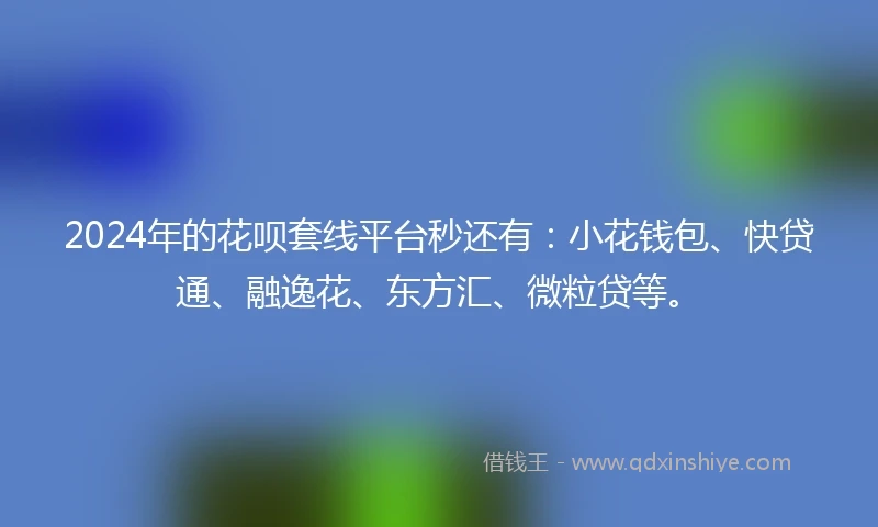 2024年的花呗套线平台秒还有：小花钱包、快贷通、融逸花、东方汇、微粒贷等。