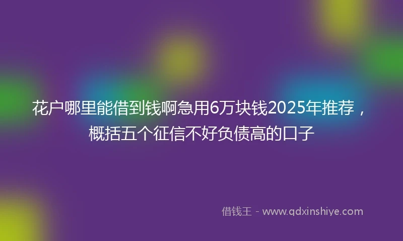 花户哪里能借到钱啊急用6万块钱2025年推荐，概括五个征信不好负债高的口子