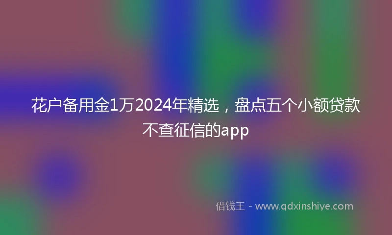 花户备用金1万2024年精选，盘点五个小额贷款不查征信的app