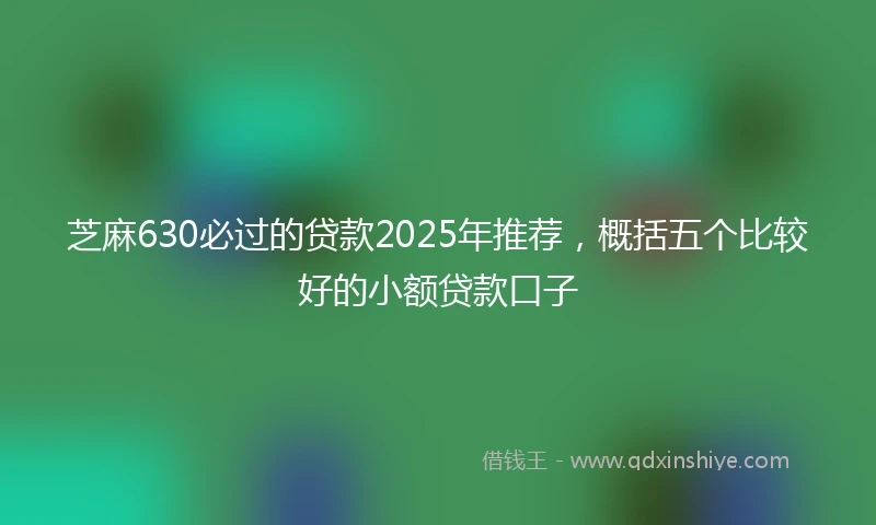 芝麻630必过的贷款2025年推荐，概括五个比较好的小额贷款口子