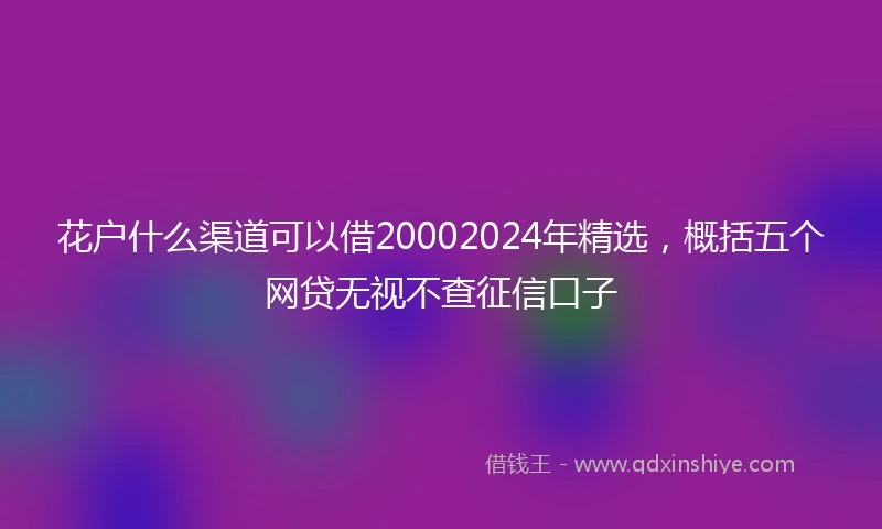 花户什么渠道可以借20002024年精选，概括五个网贷无视不查征信口子