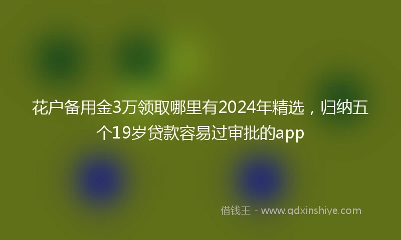 花户备用金3万领取哪里有2024年精选，归纳五个19岁贷款容易过审批的app