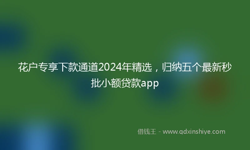 花户专享下款通道2024年精选，归纳五个最新秒批小额贷款app