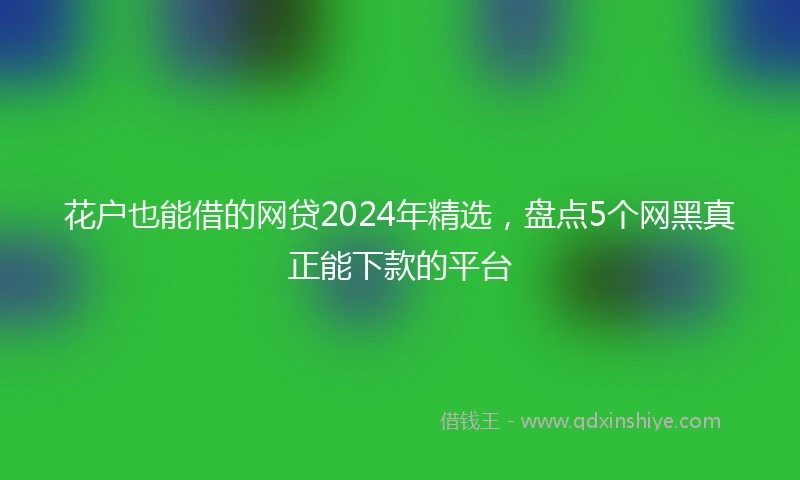 花户也能借的网贷2024年精选，盘点5个网黑真正能下款的平台