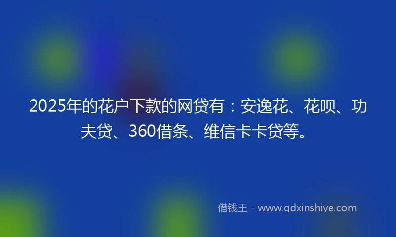 2025年的花户下款的网贷有：安逸花、花呗、功夫贷、360借条、维信卡卡贷等。