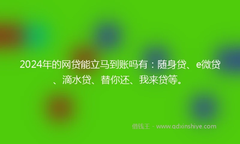 2024年的网贷能立马到账吗有：随身贷、e微贷、滴水贷、替你还、我来贷等。