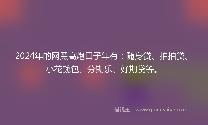 2024年的网黑高炮口子年有:随身贷、拍拍贷、小花钱包、分期乐、好期贷等。