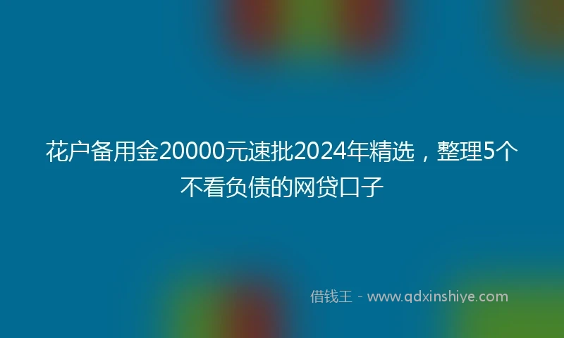 花户备用金20000元速批2024年精选，整理5个不看负债的网贷口子