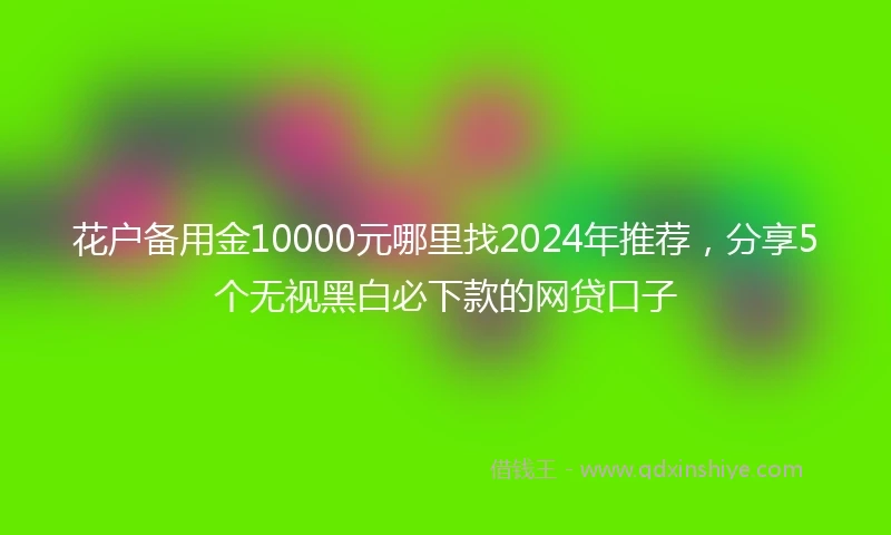 花户备用金10000元哪里找2024年推荐，分享5个无视黑白必下款的网贷口子