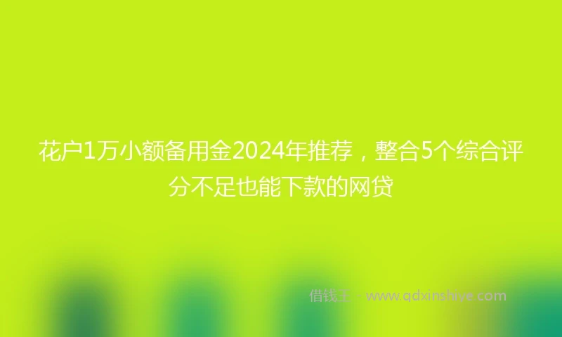 花户1万小额备用金2024年推荐，整合5个综合评分不足也能下款的网贷