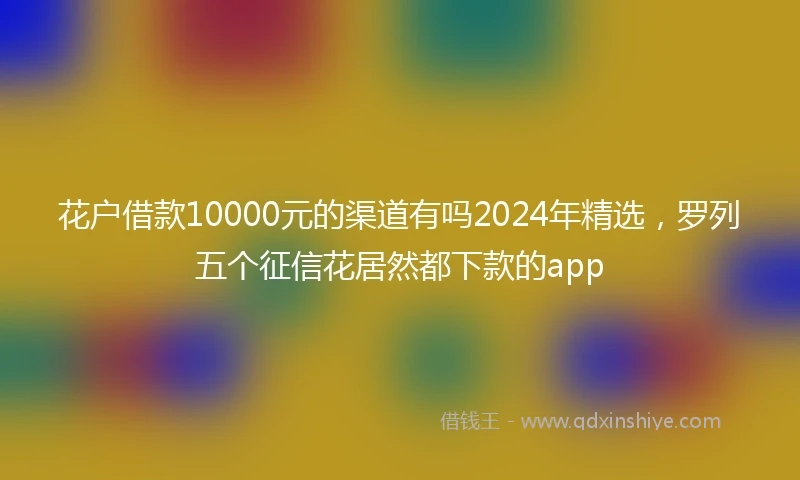 花户借款10000元的渠道有吗2024年精选，罗列五个征信花居然都下款的app