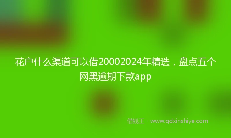 花户什么渠道可以借20002024年精选，盘点五个网黑逾期下款app