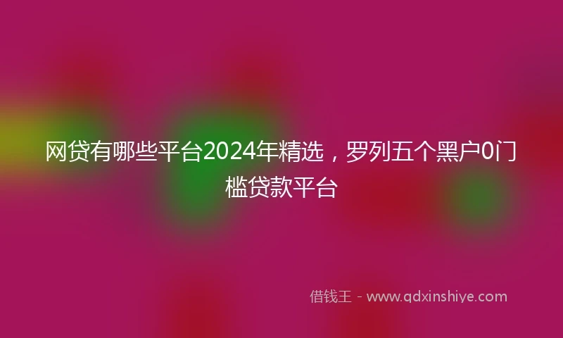 网贷有哪些平台2024年精选，罗列五个黑户0门槛贷款平台