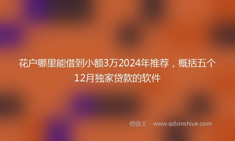 花户哪里能借到小额3万2024年推荐,概括五个12月独家贷款的软件