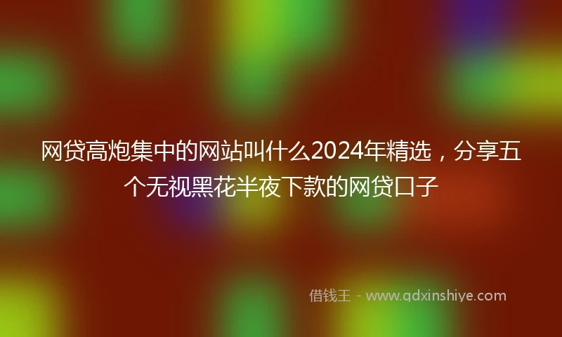 网贷高炮集中的网站叫什么2024年精选，分享五个无视黑花半夜下款的网贷口子