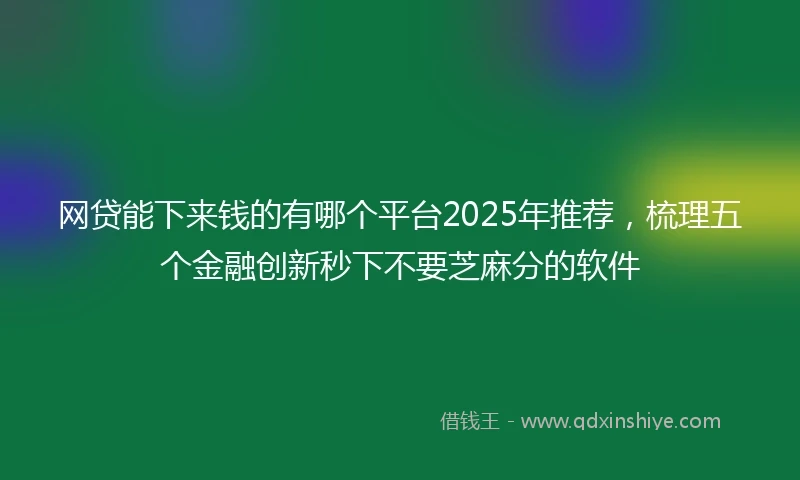 网贷能下来钱的有哪个平台2025年推荐，梳理五个金融创新秒下不要芝麻分的软件