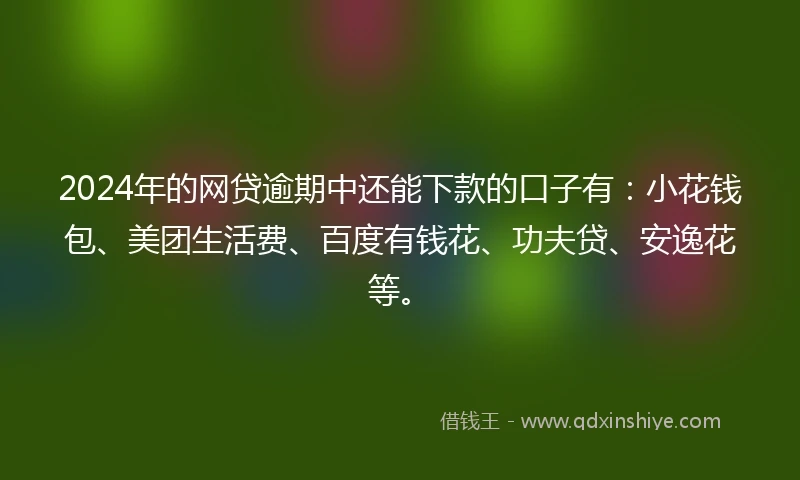 2024年的网贷逾期中还能下款的口子有：小花钱包、美团生活费、百度有钱花、功夫贷、安逸花等。