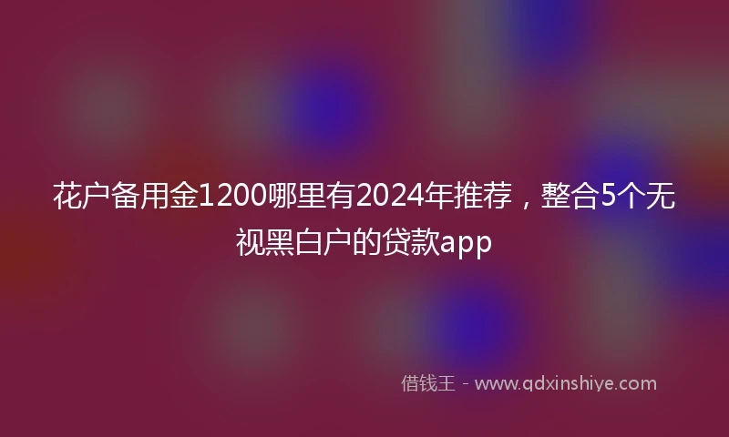 花户备用金1200哪里有2024年推荐，整合5个无视黑白户的贷款app