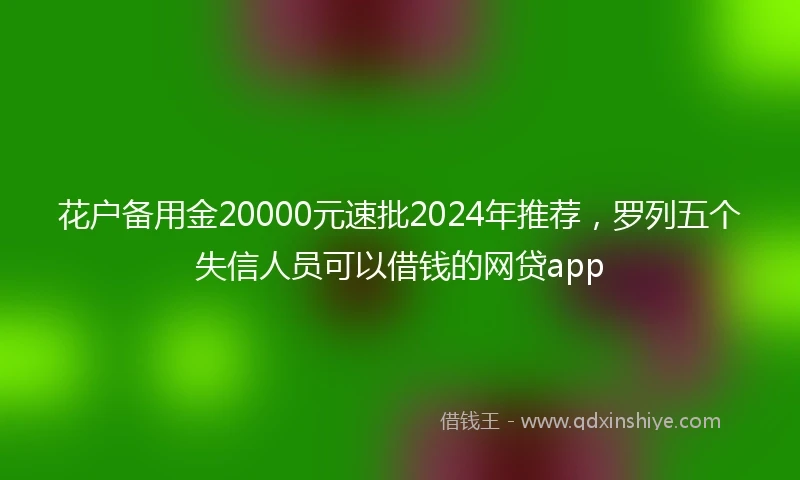 花户备用金20000元速批2024年推荐，罗列五个失信人员可以借钱的网贷app
