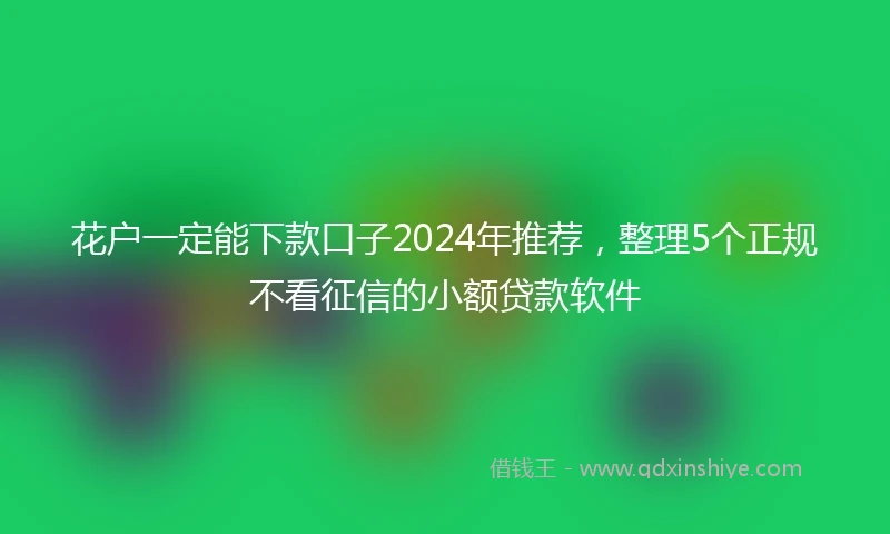花户一定能下款口子2024年推荐，整理5个正规不看征信的小额贷款软件