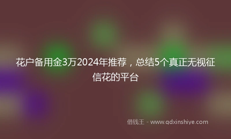 花户备用金3万2024年推荐，总结5个真正无视征信花的平台
