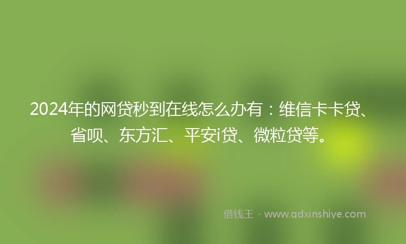 2024年的网贷秒到在线怎么办有：维信卡卡贷、省呗、东方汇、平安i贷、微粒贷等。