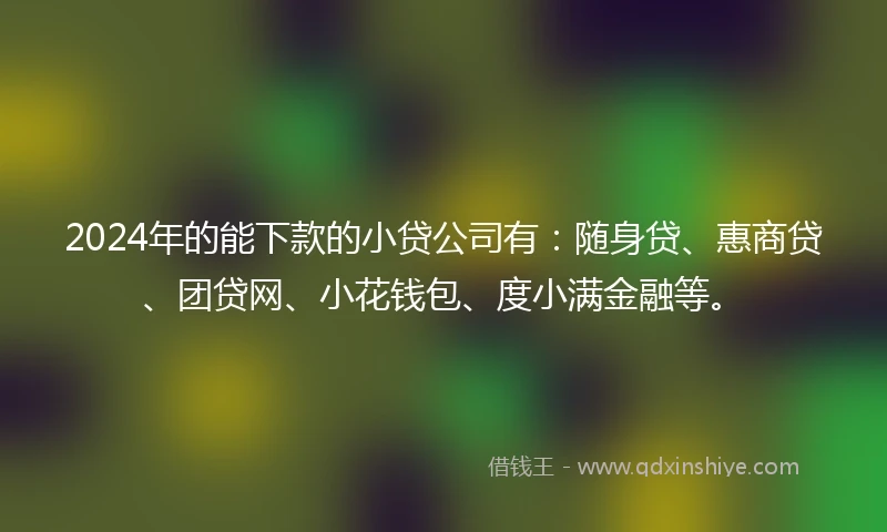 2024年的能下款的小贷公司有：随身贷、惠商贷、团贷网、小花钱包、度小满金融等。