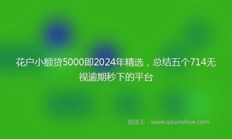 花户小额贷5000即2024年精选，总结五个714无视逾期秒下的平台