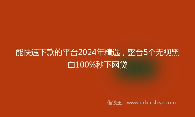能快速下款的平台2024年精选，整合5个无视黑白100%秒下网贷