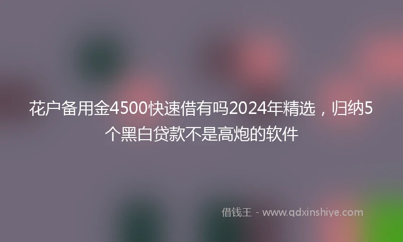 花户备用金4500快速借有吗2024年精选，归纳5个黑白贷款不是高炮的软件