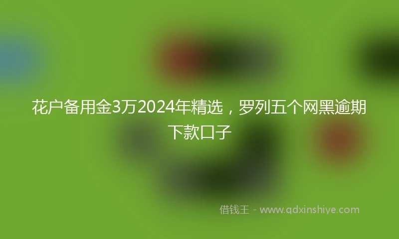 花户备用金3万2024年精选，罗列五个网黑逾期下款口子