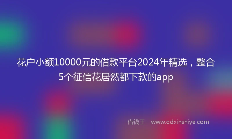 花户小额10000元的借款平台2024年精选,整合5个征信花居然都下款的app