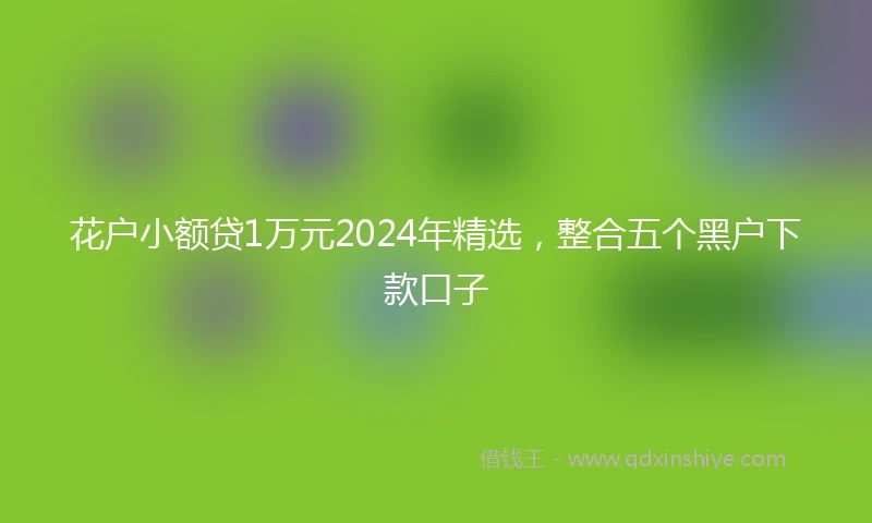 花户小额贷1万元2024年精选,整合五个黑户下款口子