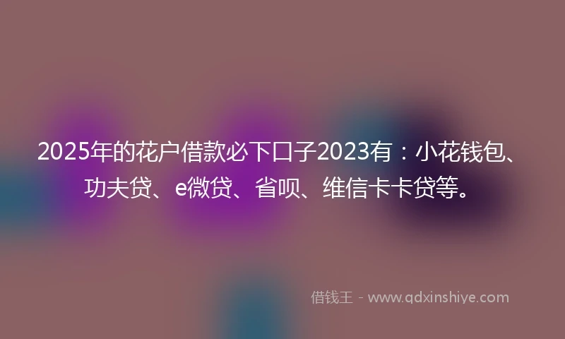 2025年的花户借款必下口子2023有：小花钱包、功夫贷、e微贷、省呗、维信卡卡贷等。