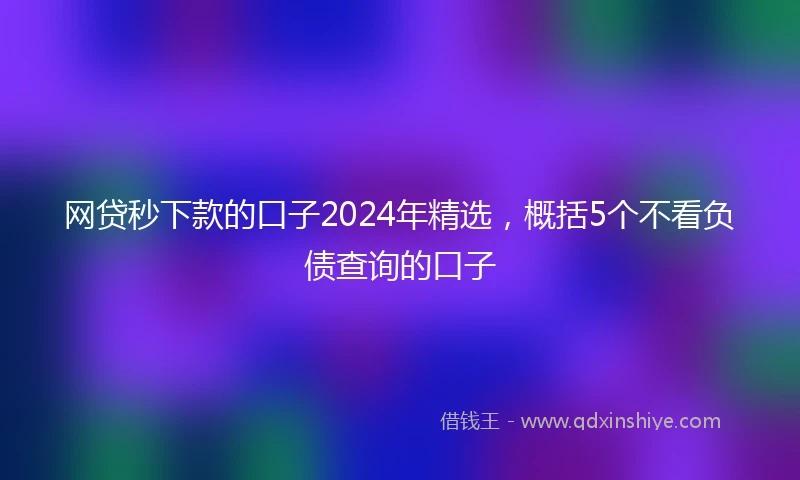 网贷秒下款的口子2024年精选，概括5个不看负债查询的口子