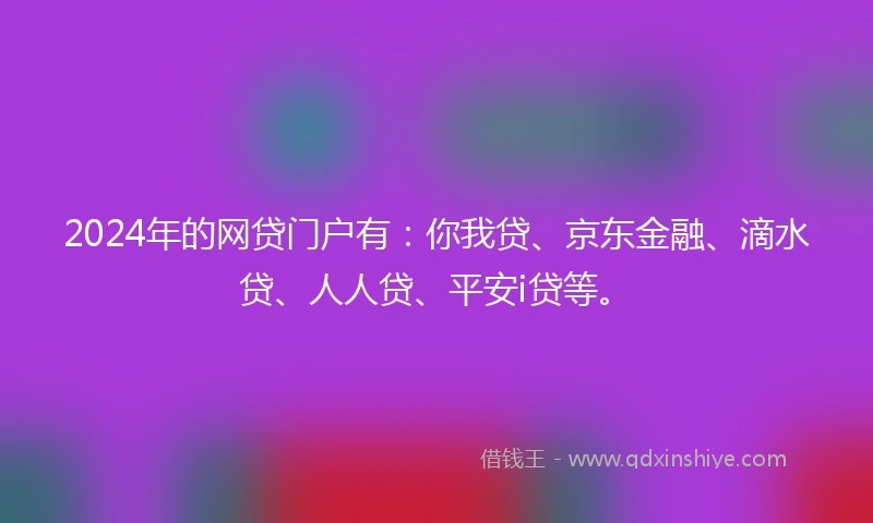 2024年的网贷门户有：你我贷、京东金融、滴水贷、人人贷、平安i贷等。