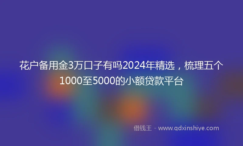 花户备用金3万口子有吗2024年精选,梳理五个1000至5000的小额贷款平台
