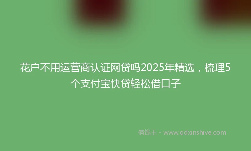花户不用运营商认证网贷吗2025年精选，梳理5个支付宝快贷轻松借口子