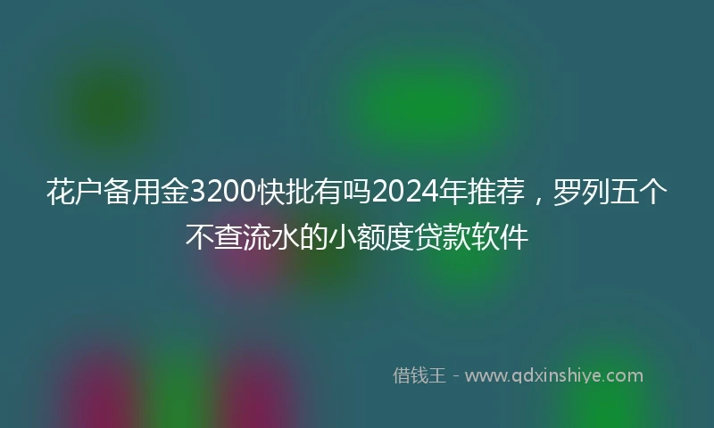 花户备用金3200快批有吗2024年推荐，罗列五个不查流水的小额度贷款软件