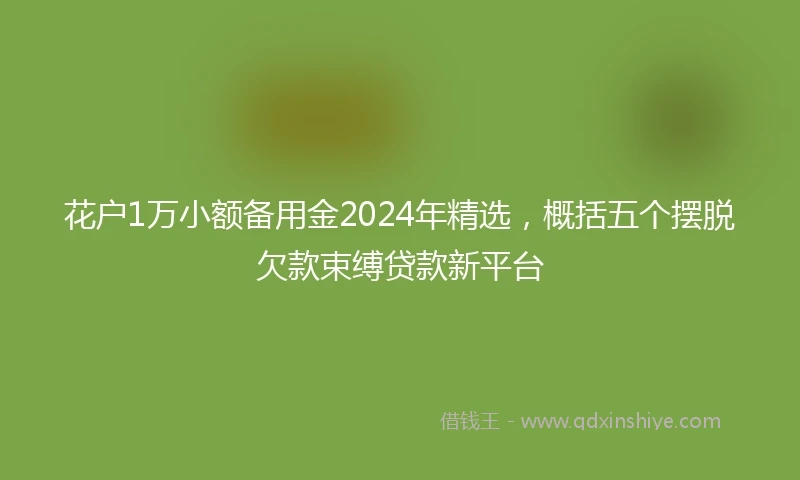 花户1万小额备用金2024年精选，概括五个摆脱欠款束缚贷款新平台